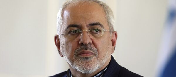 Cevad Zarif - Sputnik Türkiye
