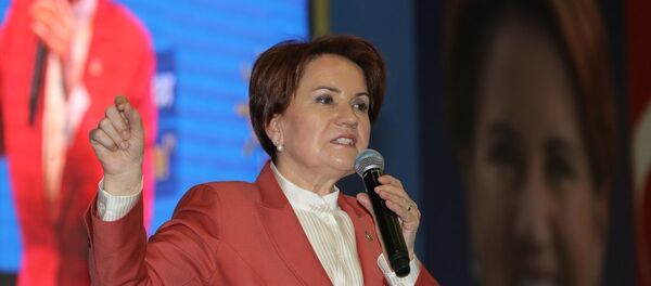 Meral Akşener - Sputnik Türkiye