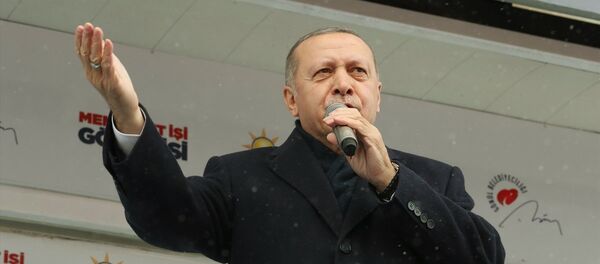 Recep Tayyip Erdoğan - Sputnik Türkiye