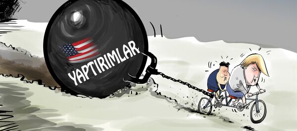 Karikatür - Sputnik Türkiye