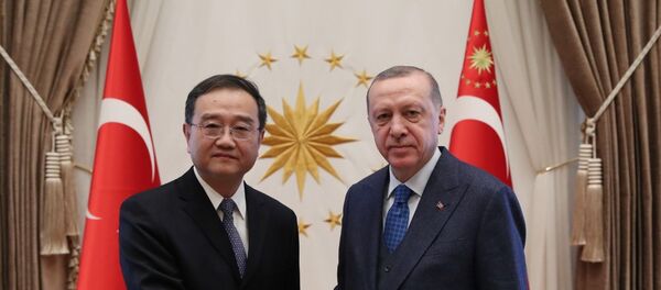 Deng Li - Recep Tayyip Erdoğan - Sputnik Türkiye
