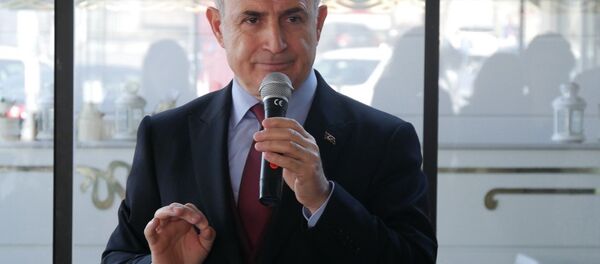 Hasan Akgün - Sputnik Türkiye