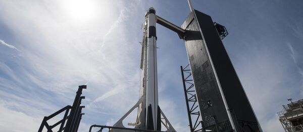SpaceX - Sputnik Türkiye
