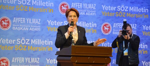 Meral Akşener Meral Akşener - Sputnik Türkiye