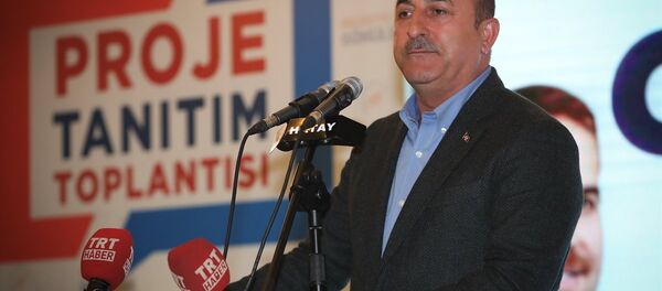 Mevlüt Çavuşoğlu - Sputnik Türkiye