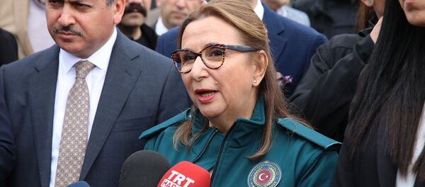 Ruhsar Pekcan - Sputnik Türkiye