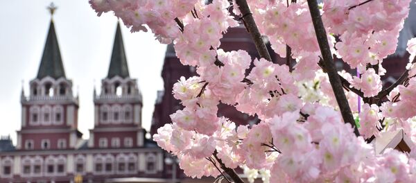 Türkiye'nin Moskova Büyükelçiliği Basın Müşaviri Orhan Gazigil: 'Fotoğrafçılık özgürlüğümü hissettiğim bir alandır' - Sputnik Türkiye
