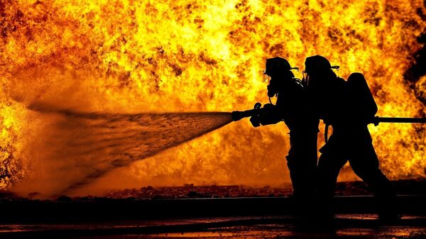 İtfaiyeci - İtfaiye - Sputnik Türkiye