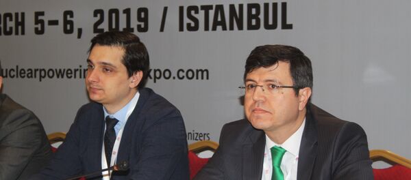 Akkuyu Nükleer Güç Santrali (NGS) AŞ Yönetim Kurulu Başkan Yardımcısı Anton Dedusenko - Sputnik Türkiye