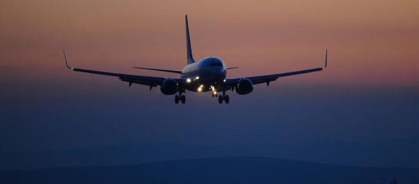 Uçak - Sputnik Türkiye