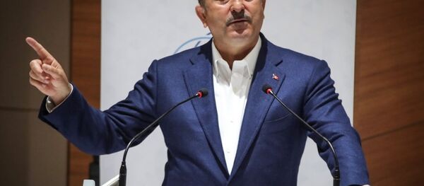 Dışişleri Bakanı Mevlüt  Çavuşoğlu - Sputnik Türkiye