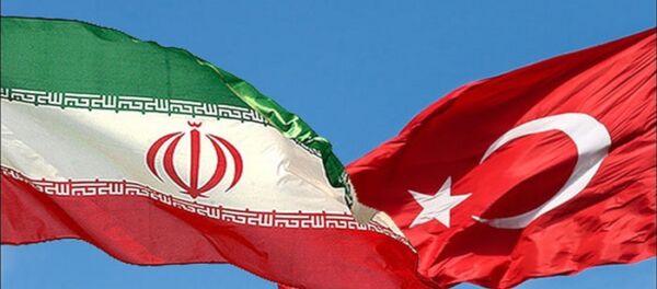 Türkiye İran - Sputnik Türkiye