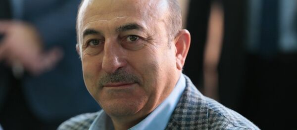 Dışişleri Bakanı Mevlüt Çavuşoğlu - Sputnik Türkiye