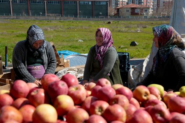 Diyarbakır’da, Türkiye’nin ilk kadın semt pazarı olma özelliği taşıyan Jiyan Semt Pazarı - kadın - pazar  - elma - Sputnik Türkiye