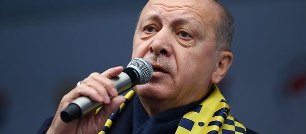 Recep Tayyip Erdoğan - Sputnik Türkiye