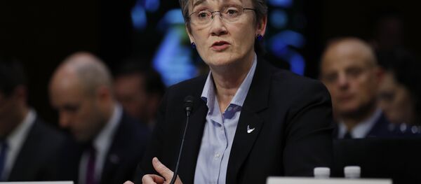 Air Force Secretary Heather Wilson testifies during a Senate Judiciary Committee hearing on Capitol Hill in Washington, Wednesday, Dec. 6, 2017 - Sputnik Türkiye