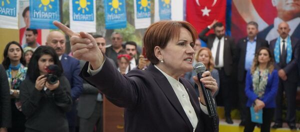 İYİ Parti Genel Başkanı Meral Akşener - Sputnik Türkiye