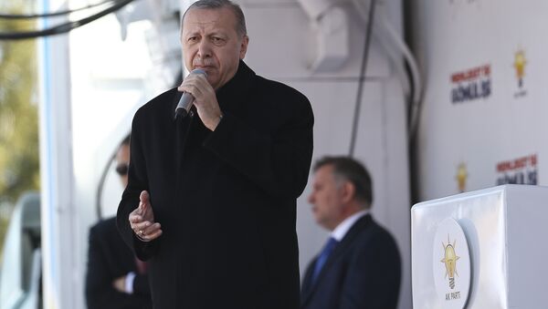 Cumhurbaşkanı Recep Tayyip Erdoğan - Elazığ - Sputnik Türkiye
