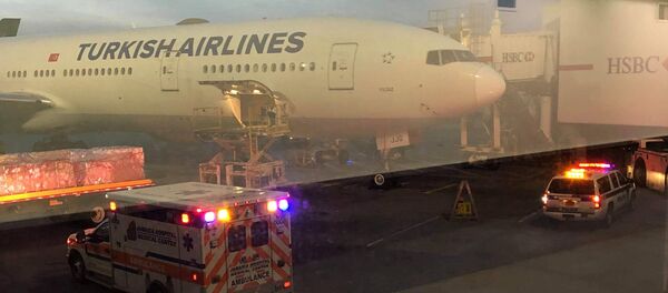 THY uçağı türbülansa girdi - Sputnik Türkiye