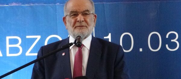 Temel Karamollaoğlu - Sputnik Türkiye