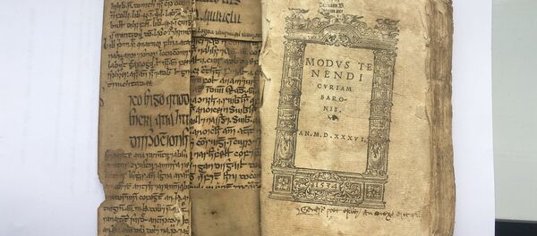 İbn-i Sina'ya ait 15. yüzyıldan kalma eserin İrlanda diline çevirisi bulundu - Sputnik Türkiye