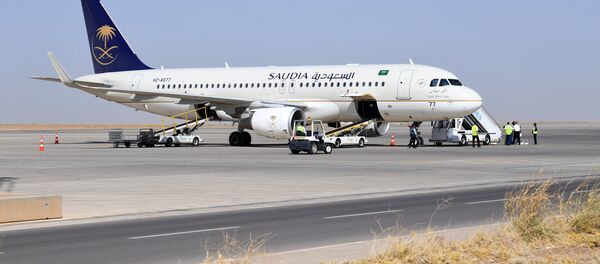 Uçak bebeğini unutan kadın yüzünden dönmek zorunda kaldı - Sputnik Türkiye