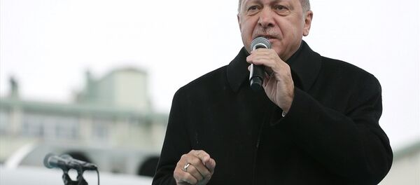 Recep Tayyip Erdoğan - Sputnik Türkiye