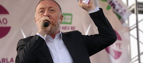 Sezai Temelli - Sputnik Türkiye