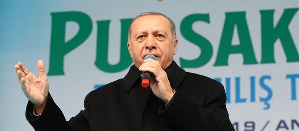 Recep Tayyip Erdoğan - Sputnik Türkiye