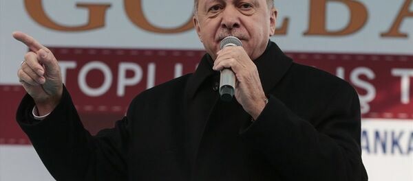 Recep Tayyip Erdoğan - Sputnik Türkiye