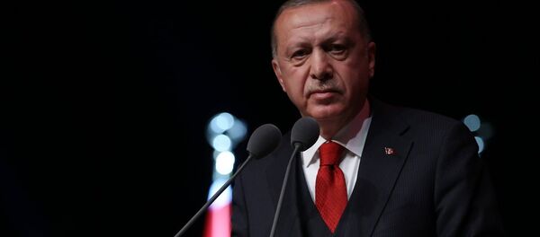 Türkiye Cumhurbaşkanı Recep Tayyip Erdoğan - Sputnik Türkiye