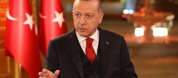Cumhurbaşkanı Recep Tayyip Erdoğan - Sputnik Türkiye