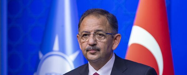 Mehmet Özhaseki - Sputnik Türkiye