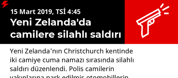 İnfografik - Sputnik Türkiye