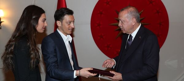 Cumhurbaşkanı Erdoğan, futbolcu Mesut Özil'i kabul etti - Sputnik Türkiye