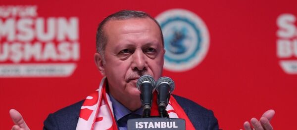 Türkiye Cumhurbaşkanı ve AK Parti Genel Başkanı Recep Tayyip Erdoğan - Sputnik Türkiye