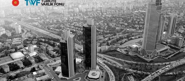 Türkiye Varlık Fonu - Sputnik Türkiye