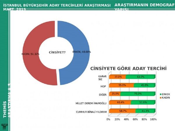 Themis Araştırma - Sputnik Türkiye