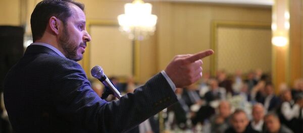 Berat Albayrak - Sputnik Türkiye