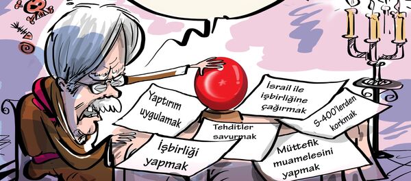 Karikatür - Sputnik Türkiye