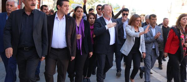 Sezai Temelli - Sputnik Türkiye