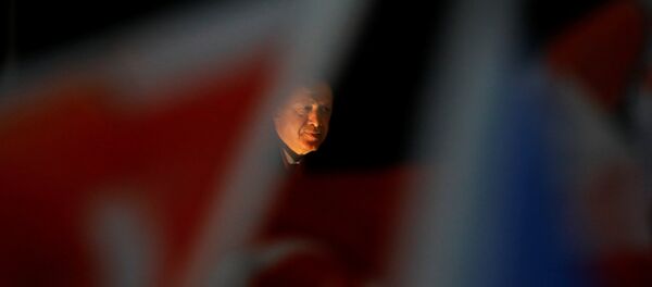 Cumhurbaşkanı Recep Tayyip Erdoğan - Sputnik Türkiye