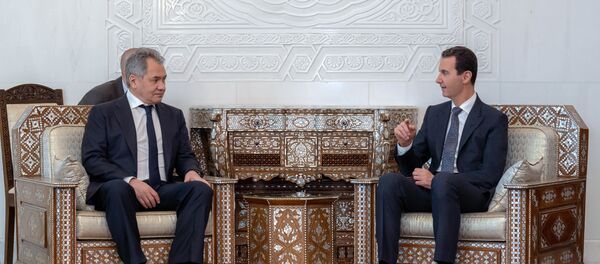 Sergey Şoygu - Beşar Esad - Sputnik Türkiye