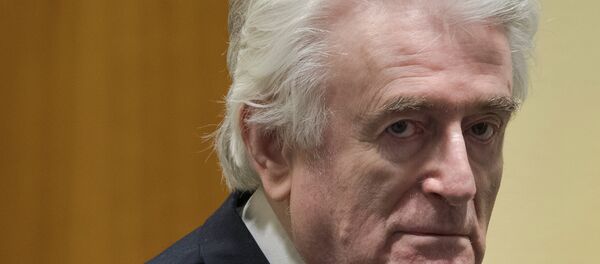 Radovan Karadziç - Sputnik Türkiye