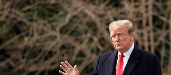 ABD Başkanı Donald Trump - Sputnik Türkiye