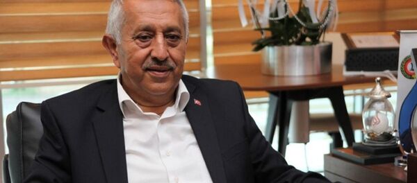 Mehmet Zeybek - Sputnik Türkiye