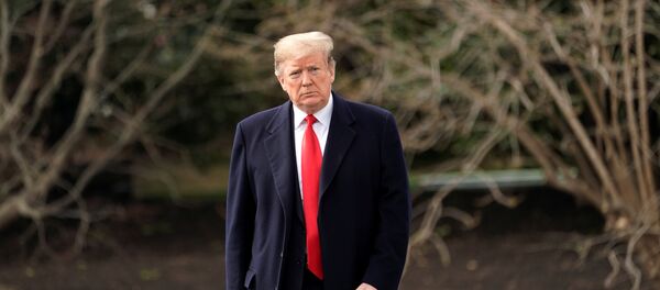 ABD Başkanı Donald Trump ABD Başkanı Donald Trump - Sputnik Türkiye