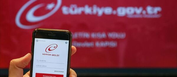 e-Devlet e-Devlet - Sputnik Türkiye
