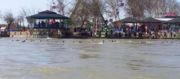 Musul'da feribot battı - Sputnik Türkiye