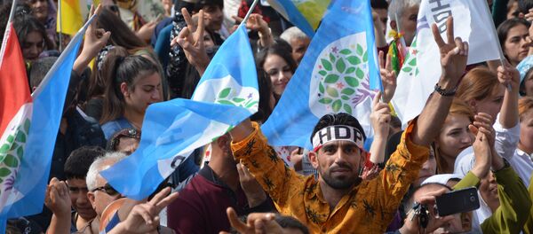 Mersin'de HDP'den Türk bayraklı Nevruz kutlaması - Sputnik Türkiye